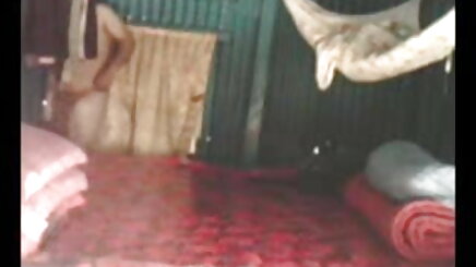 স্বামী ও কোয়েল মল্লিকের চুদাচুদি স্ত্রী